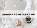 神木昆虫网站高清照片素材（昆虫图片下载）